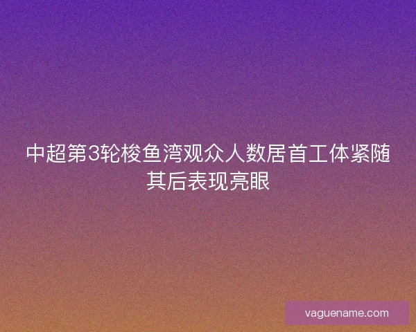 中超第3轮梭鱼湾观众人数居首工体紧随其后表现亮眼